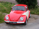 Beetle 002.jpg